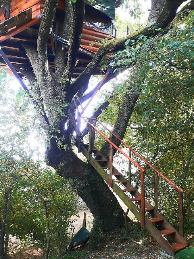 B&B La Cabane Insolite Mones Bed & Breakfast