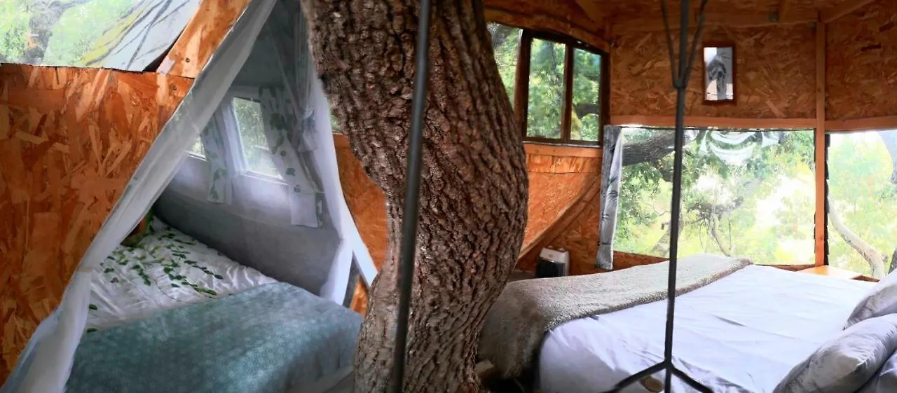 B&B La Cabane Insolite Mones