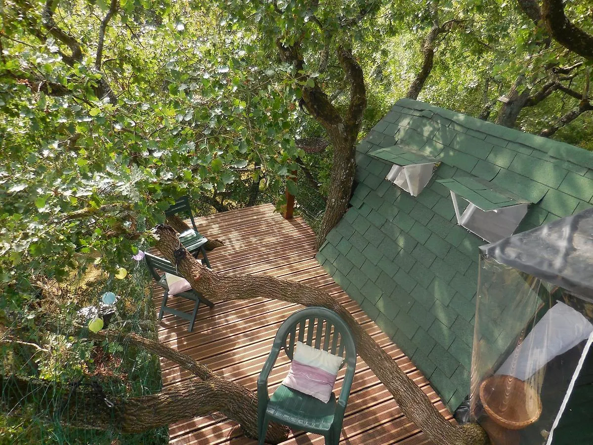 B&B La Cabane Insolite Mones Bed & Breakfast