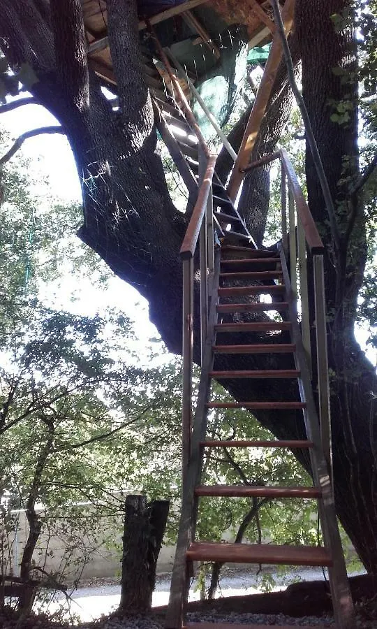 Bed & Breakfast B&B La Cabane Insolite Mones