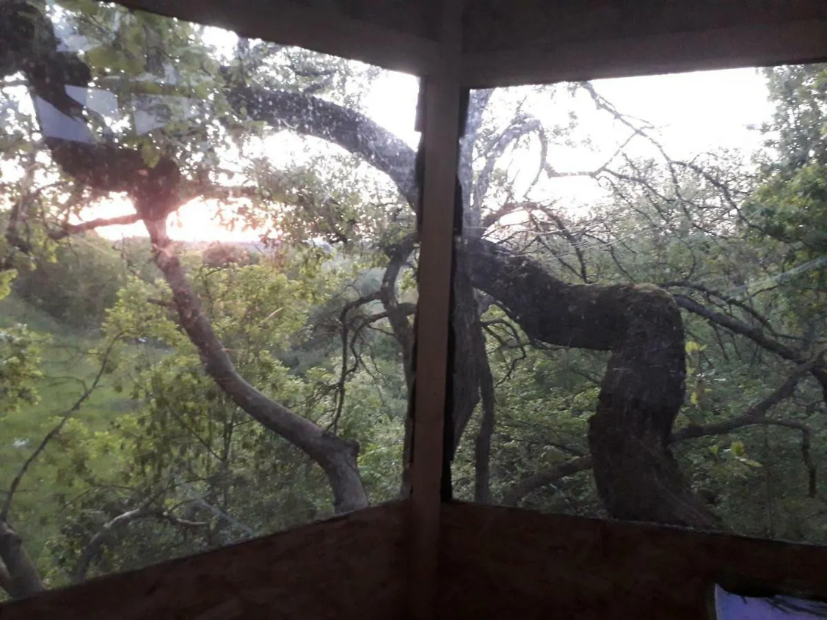 Bed & Breakfast B&B La Cabane Insolite Mones