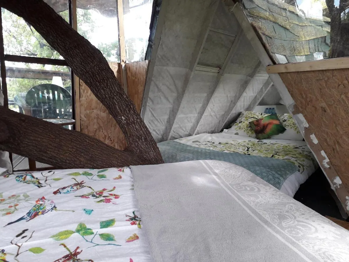 Bed & Breakfast B&B La Cabane Insolite Mones